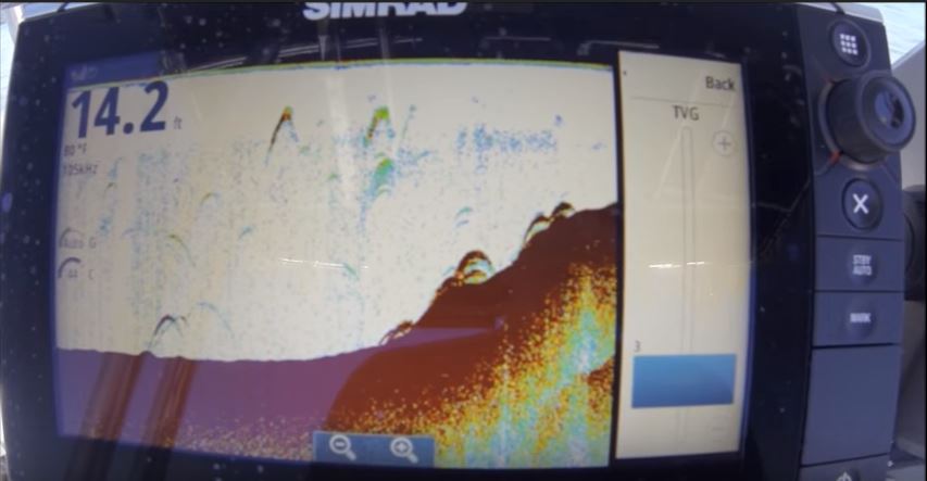 what do fish look like on a fish finder